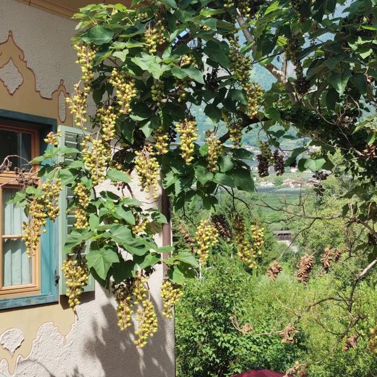 Schlosswirt Forst - Chambre Double Deluxe - 1