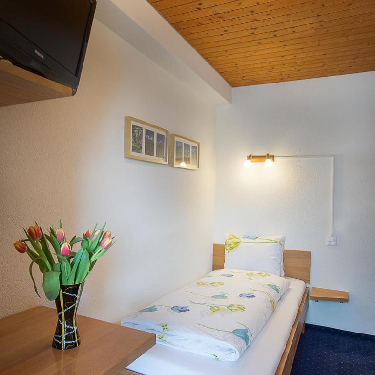 Hotel Alpina - Einzelzimmer mit Balkon - 3