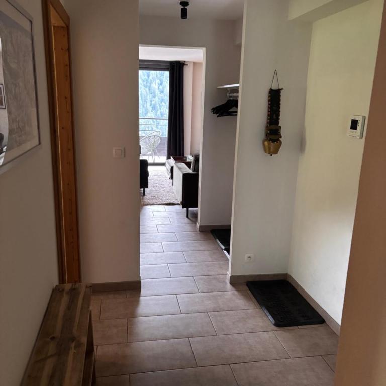 Le Savoisien, Appartement in centrum Chatel 150 m van ski-lift - Appartement 3 Chambres - 17