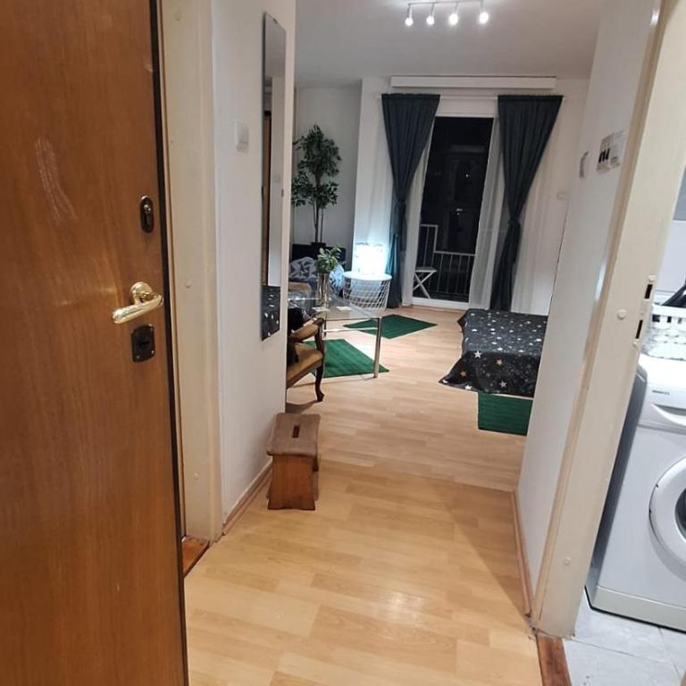 Green Residence - One-Bedroom Apartment - 2