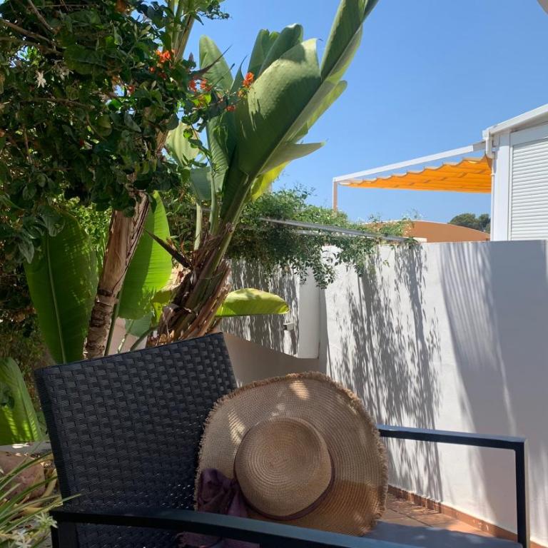 Beachfront Villa - Villa - 3