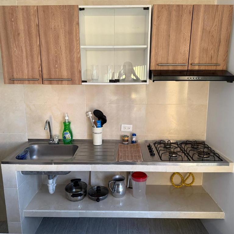 Apartamentos 53 - Estudio Estándar - 4