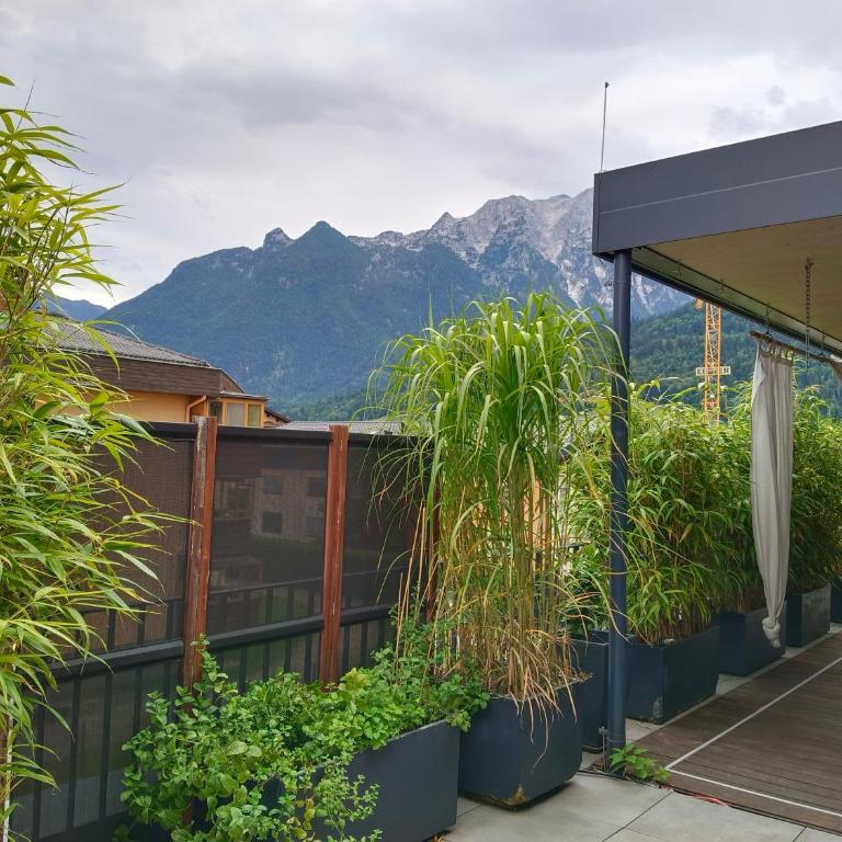 Guest room with private shower and toilet near Salzburg City - Doppelzimmer mit eigenem Bad - 14