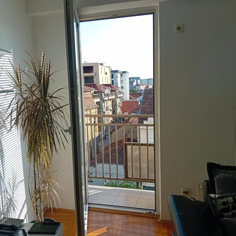 Gray Diamond - One-Bedroom Apartment - 6