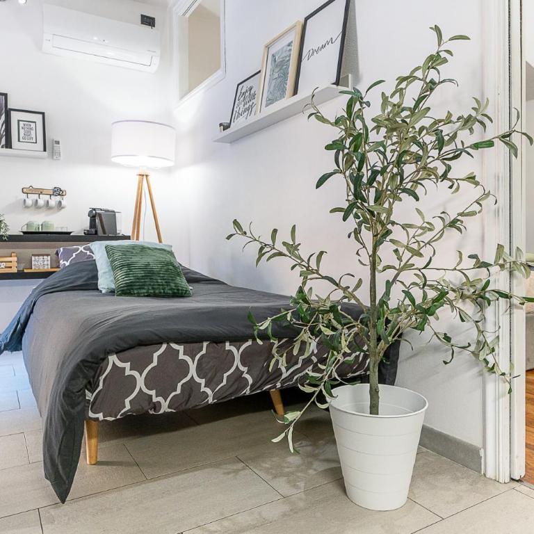 Romantic apt in Historic Center - Egyptian museum - Appartamento con 1 Camera da Letto - 18