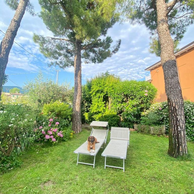 Appartamenti Garda Mulino - Appartamento con 2 Camere da Letto - 16