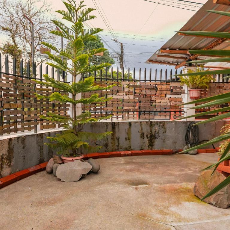 Raíces y Refugio - One-Bedroom Apartment - 24
