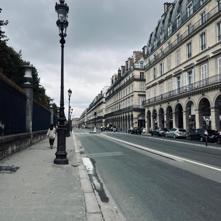 Beautiful Flat by Louvre & Tuileries - Appartement 1 Chambre Deluxe - 20