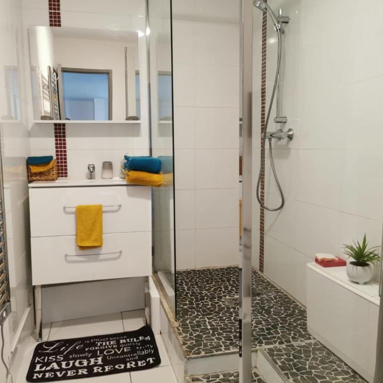 Studio vue bassin grand confort - Studio avec Terrasse - 3
