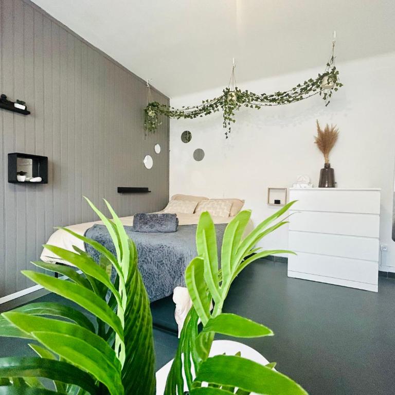 Cosy - Studio Plage & Soleil - One-Bedroom Apartment - 6
