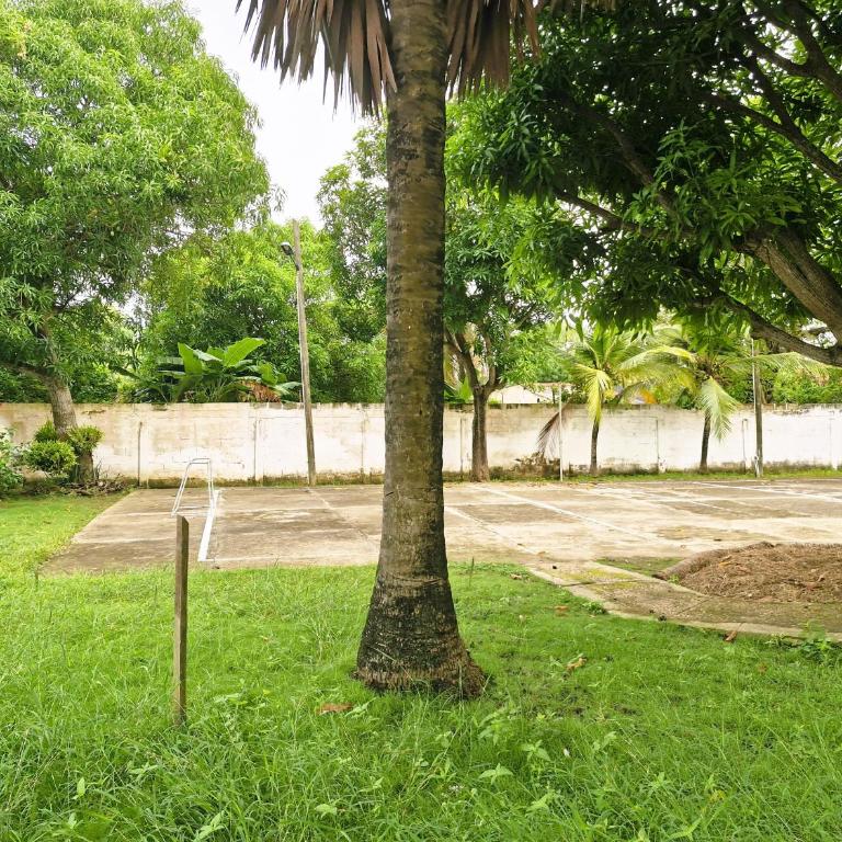 Amplio y Luminoso Apto en Tolú - Apartment with Pool View - 79