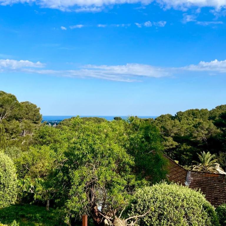 L'azur Provençal - Appartamento con 1 Camera da Letto - 2