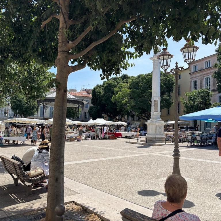 Villa jardin secret centre-ville d'Antibes - Villa mit 3 Schlafzimmern - 29