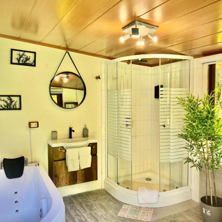 Hospedaje Curiquindi - Mindo Eco Lodge - Deluxe Triple Room - 5