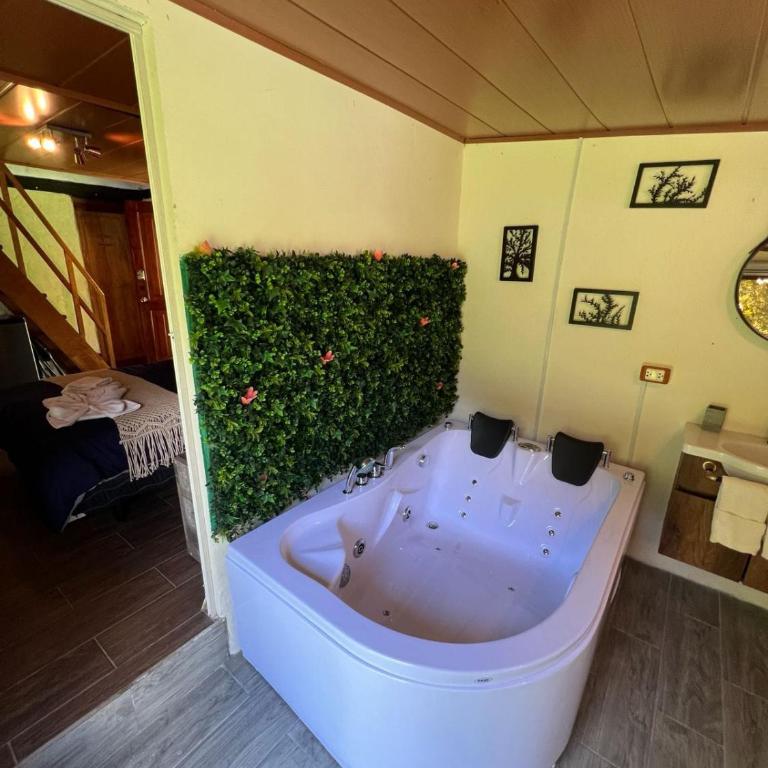 Hospedaje Curiquindi - Mindo Eco Lodge - Deluxe Triple Room - 6