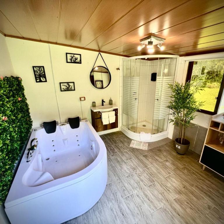 Hospedaje Curiquindi - Mindo Eco Lodge - Deluxe Triple Room - 2