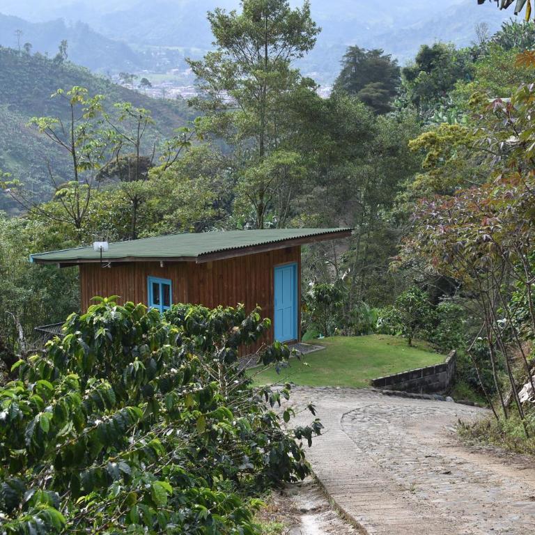 Mini Casa Papiro - One-Bedroom Chalet - 3