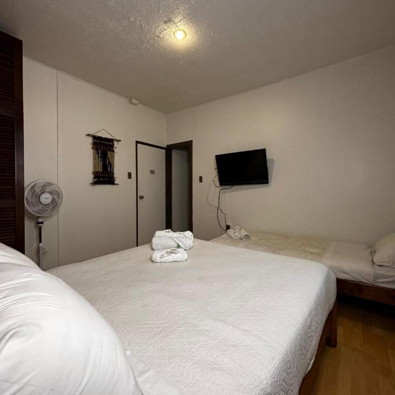 Hotel Boutique WenuPillan - Habitación Triple - 6