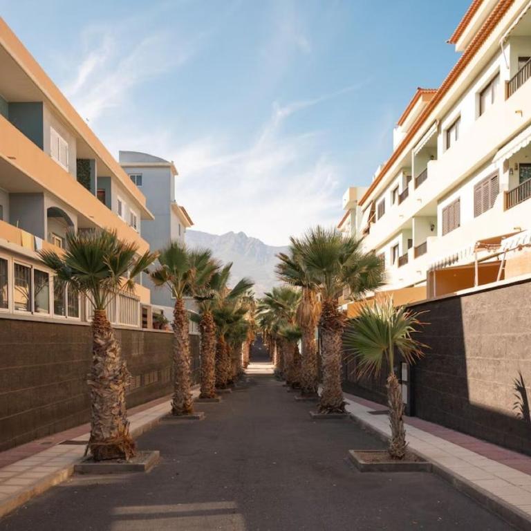 Brisas de Güimar - Apartamento de 2 dormitorios - 40