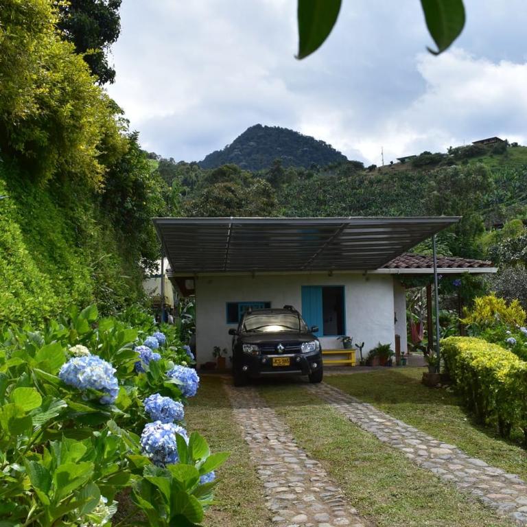 Mini Casa Papiro - One-Bedroom Chalet - 12