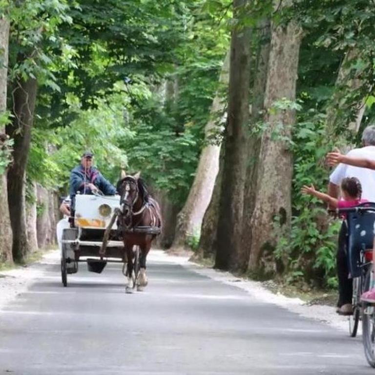 Green View Sarajevo - Modern Apartment Ilidza - Apartman sa 2 Spavaće Sobe - 18