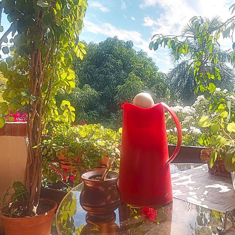 DEPARTAMENTO UNA HABITACIÓN con BALCON La Boheme Garden - Apartamento Estándar de 1 dormitorio - 44