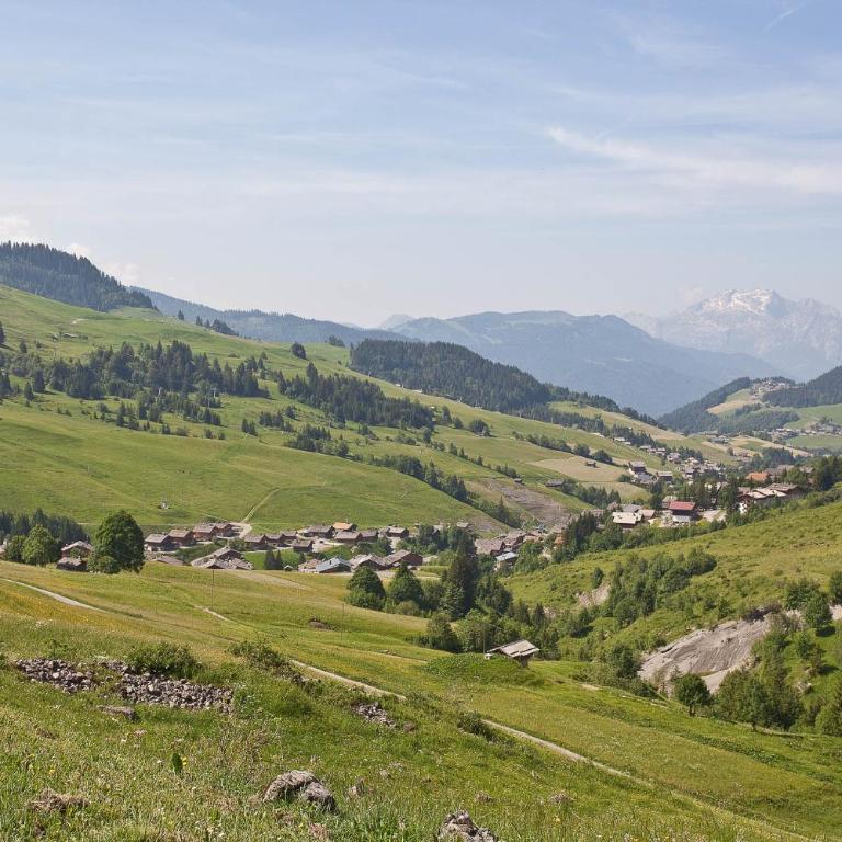 Hotel La Crémaillère - Camera Tripla con Vista Montagna - 11