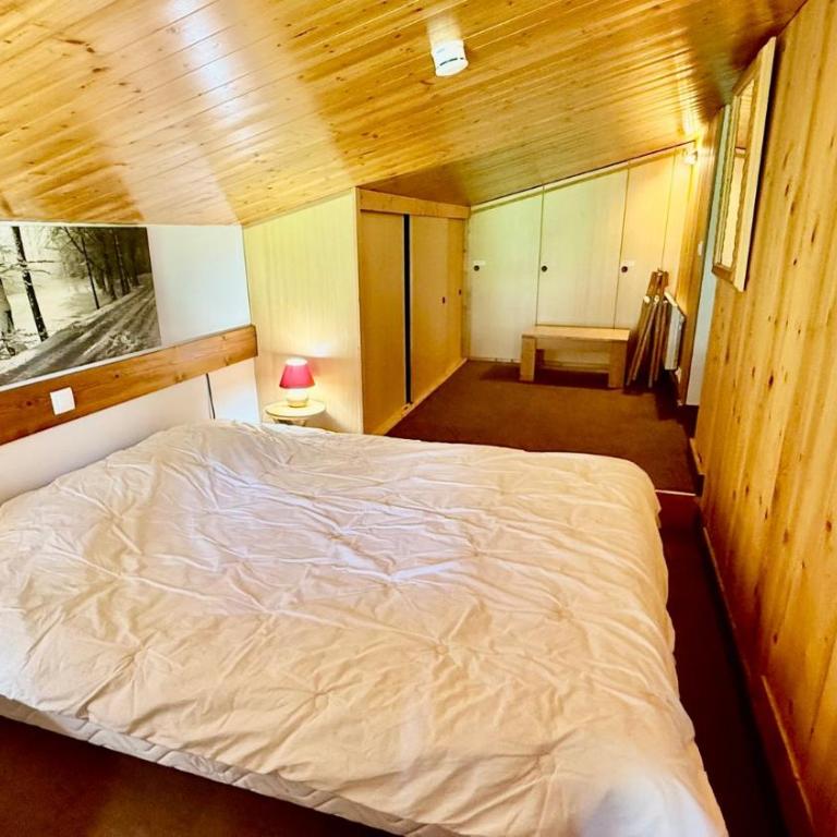 Superbe Duplex Centre Station - Appartement - 14