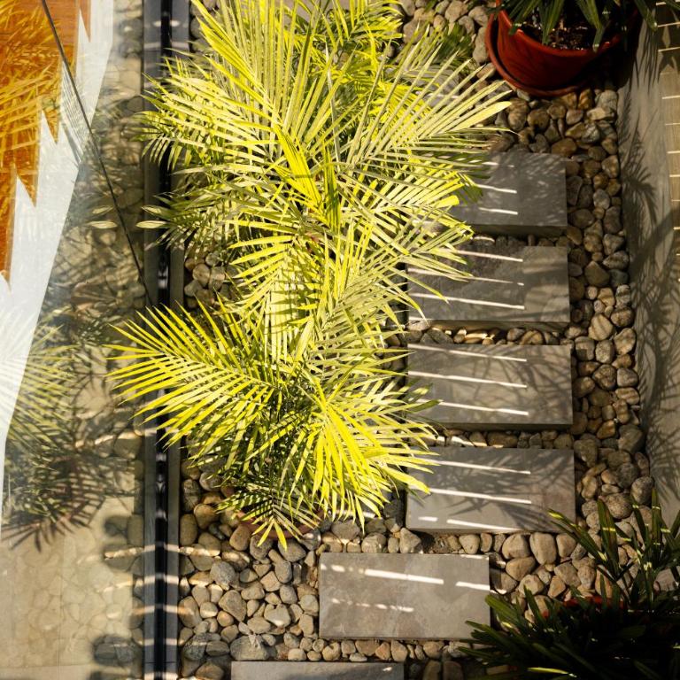 Aviva, brand new designer luxury villa - Villa - 39