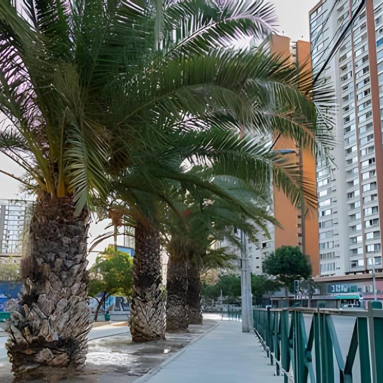 Edificio Central Metro L3 L5 Irarrázaval, Ñuñoa - Apartment - 69