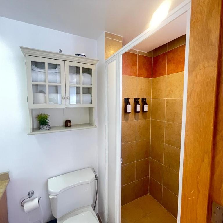 Hermoso y amplio departamento 2 Recamaras - Two-Bedroom Superior Apartment - 5