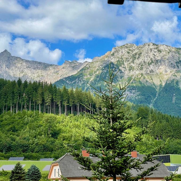 Haus am Erzbach - Ferienwohnung mitten in der Natur - Apartment mit 1 Schlafzimmer - 21