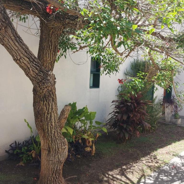 Castillo Del Lago - Carlos Paz - D19 - Apartamento de 3 dormitorios - 23