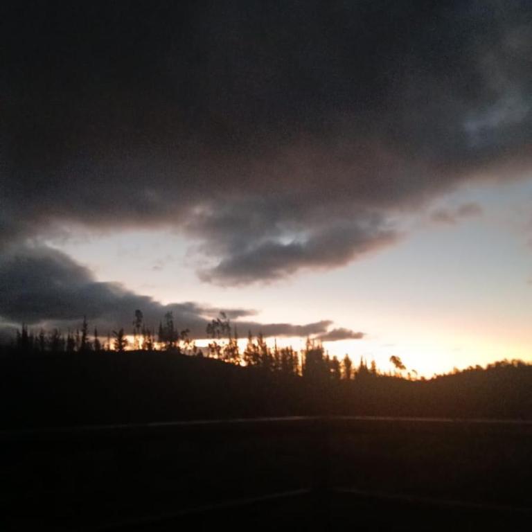 Sweet Forest Glamping - Bungalow Estándar - 12