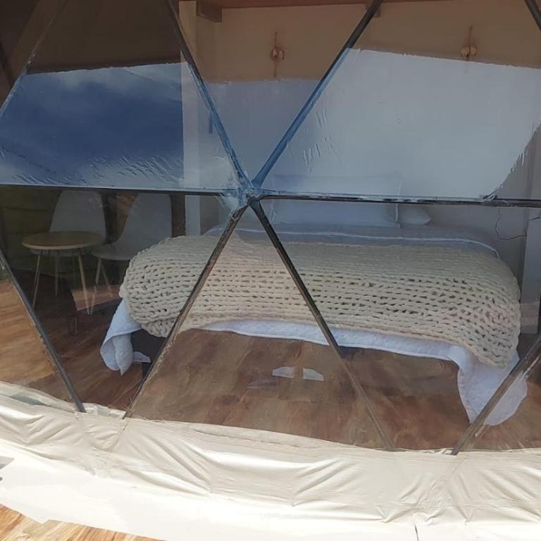 Sweet Forest Glamping - Bungalow Estándar - 6