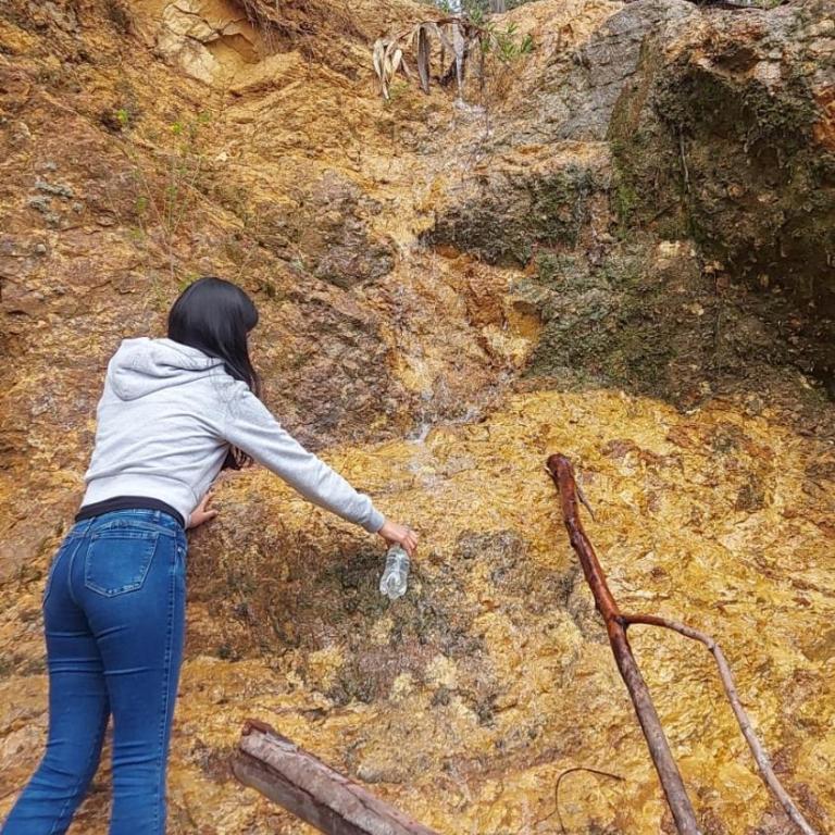 Sweet Forest Glamping - Bungalow Estándar - 8