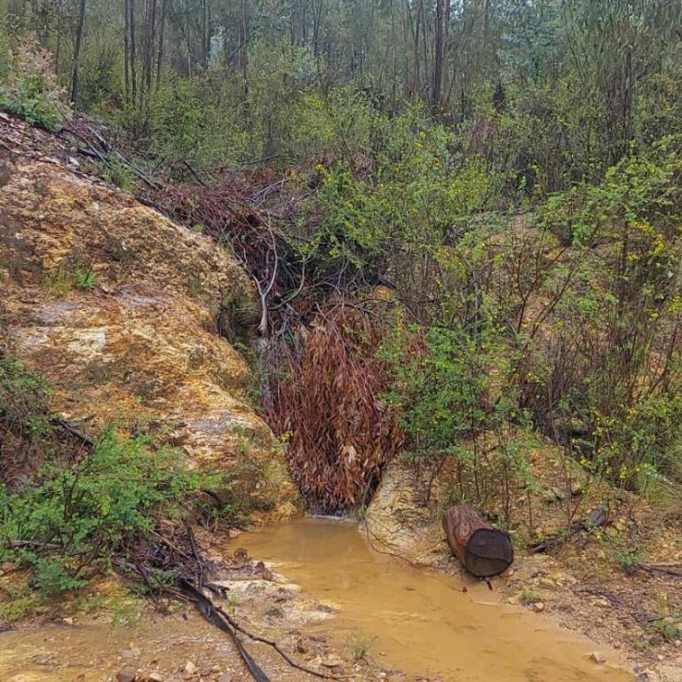 Sweet Forest Glamping - Bungalow Estándar - 10
