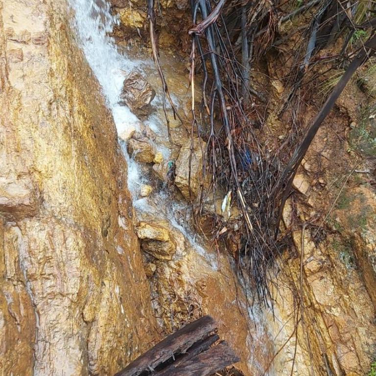 Sweet Forest Glamping - Bungalow Estándar - 2