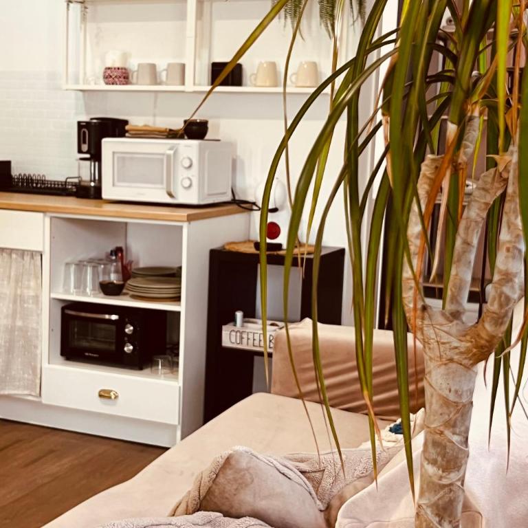 Loft céntrico con gran terraza - Apartamento de 1 dormitorio - 3
