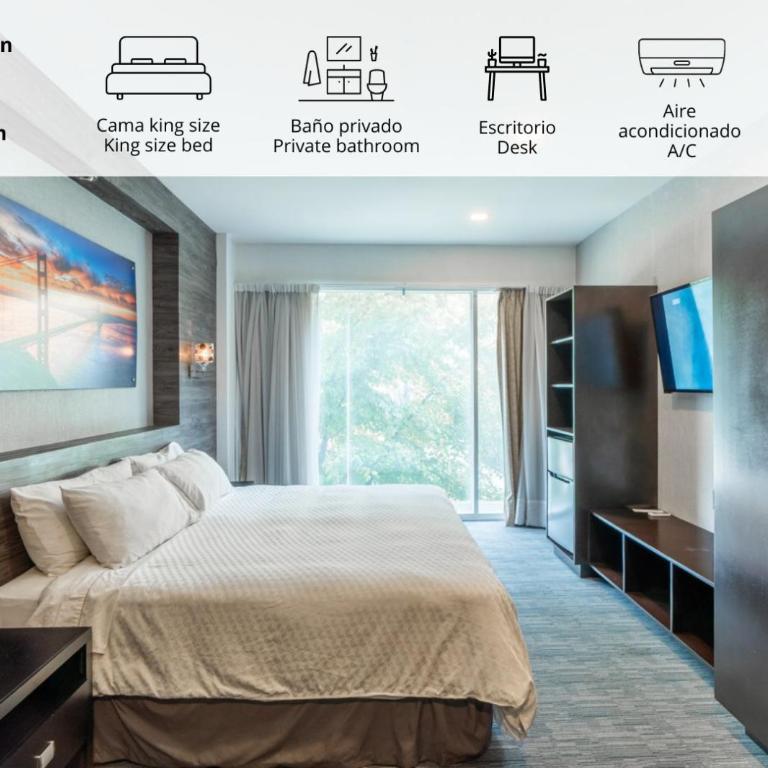Elite 47 Interlomas - Suite Executive - 2
