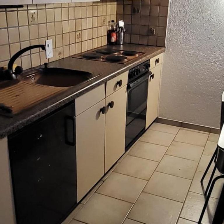 Grand Studio Centre Geneve - Appartement 1 Chambre - 3