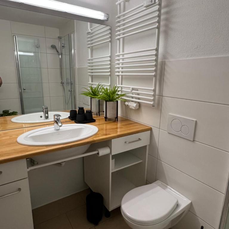 Ferienwohnung Alpenruhe mit traumhaften Bergblick, Pool & Sauna - Apartment mit 1 Schlafzimmer - 4
