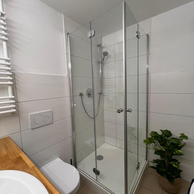Ferienwohnung Alpenruhe mit traumhaften Bergblick, Pool & Sauna - Apartment mit 1 Schlafzimmer - 10