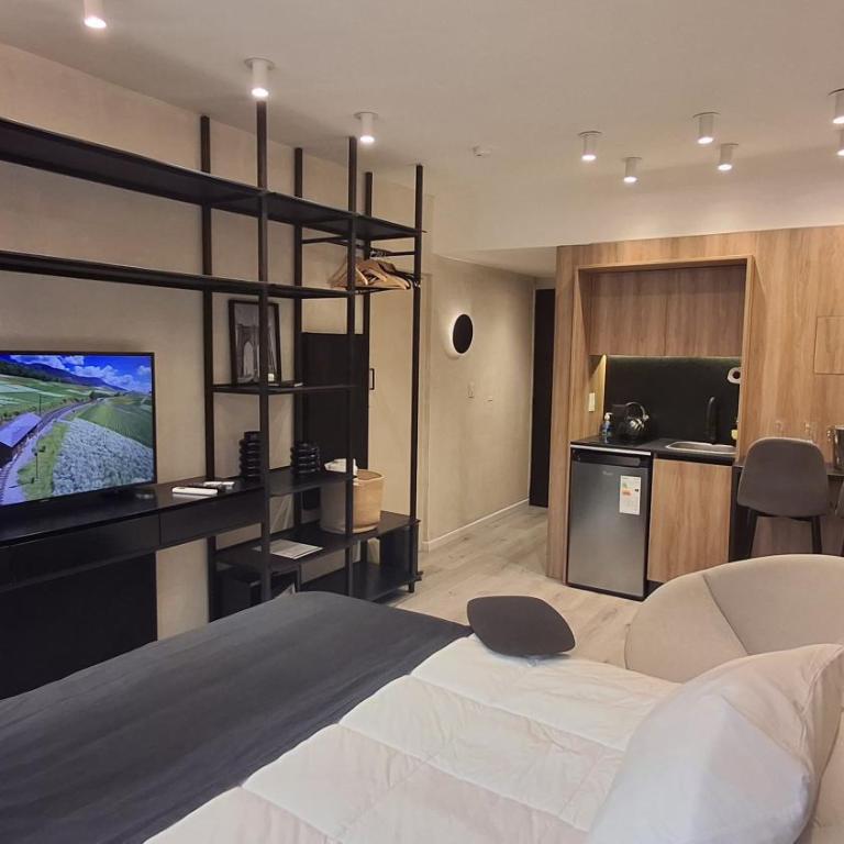 Comodidad y belleza, seguridad 24hs, céntrico, cochera, zona Galerías Pacífico y Obelisco - Apartamento de 1 dormitorio - 19