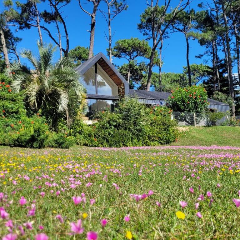 Dream house in San Rafael - Three-Bedroom House - 3