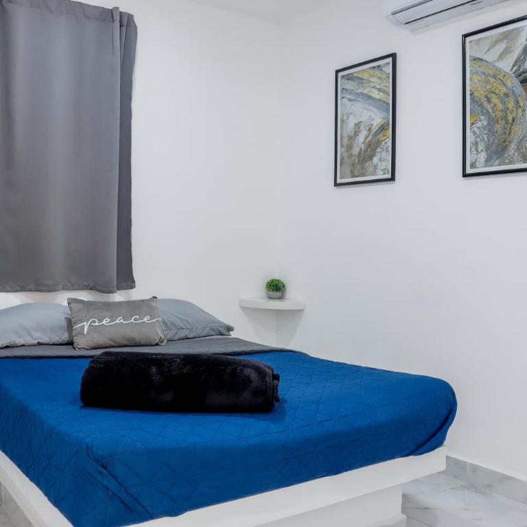 Hermoso departamento a 5 min de Zona Dorada - Two-Bedroom Apartment - 8