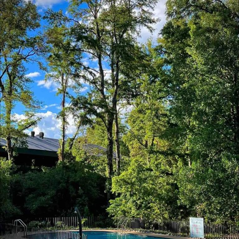 Pucon Andino - Apartamento de 1 dormitorio - 5