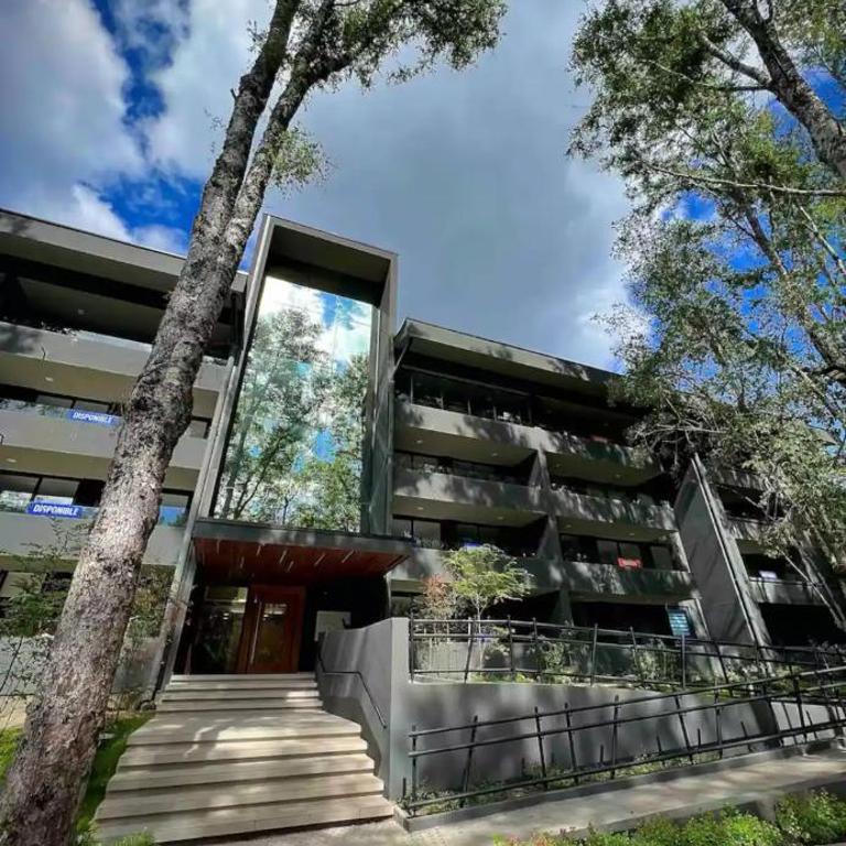 Pucon Andino - Apartamento de 1 dormitorio - 11