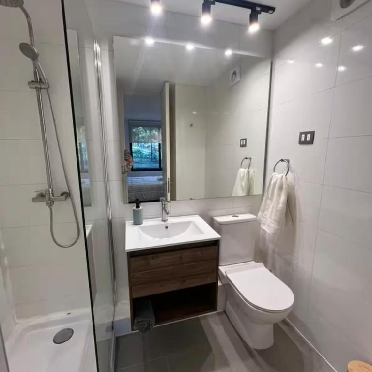 Pucon Andino - Apartamento de 1 dormitorio - 12