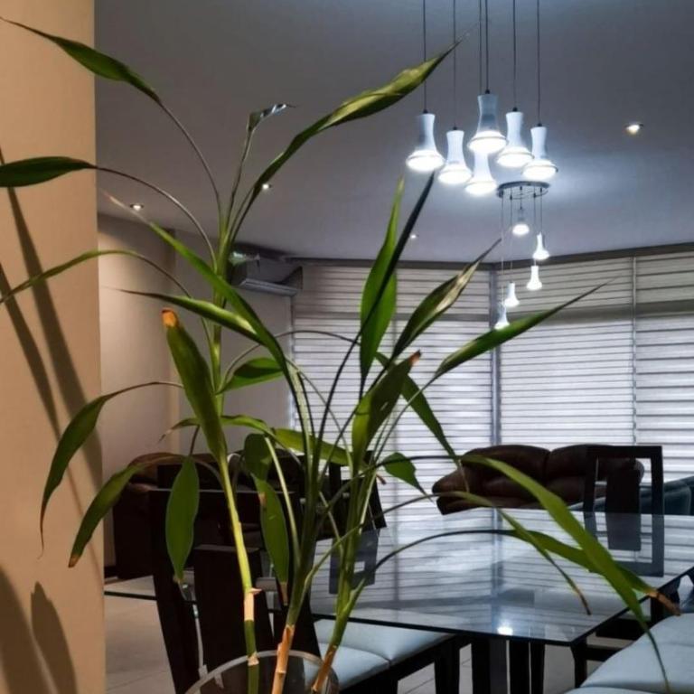 Amplio departamento de LUJO en la mejor zona - Apartamento con terraza - 10